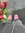 Auke 