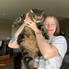 Olivia Whipple