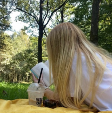 DelfinaKartaisSkaito