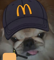 aniaa