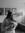 Livia