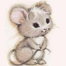 mouse