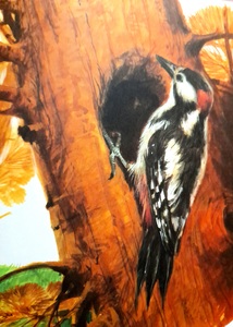 Exasperated  Iberomesornis Reads