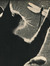 Kinea