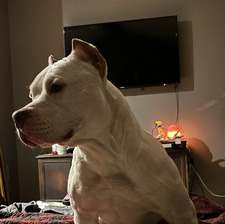 Abby