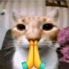 MaoK