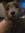 member photo member photo