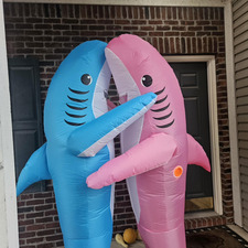 &#x1319d; &#x1319f; belci &#x1319e; &#x1319d; 