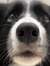 Zosia