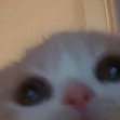 Mery