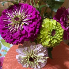 Sue Durham