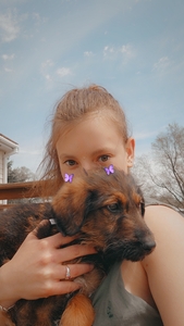 Alisha