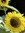 Jamie | 7 comments