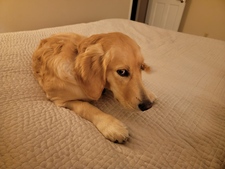Erik