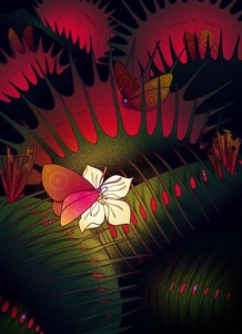 أروى الأيداء