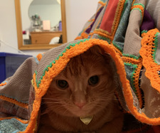 Mia