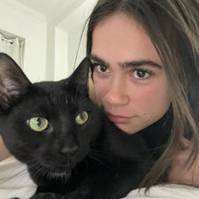 Katie Moses