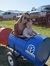 Emily A...