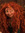 caam