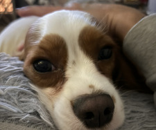 ✰ emmawemmalemma ✰