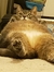 Katie [...