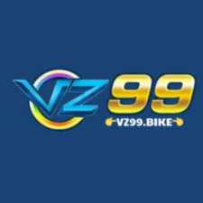 vz99com review