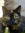 Amira | 4 comments