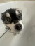 Charlie