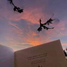 booklover✨&#x1f90d;