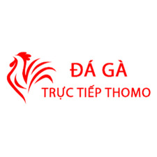 Đá Gà Trực Tiếp