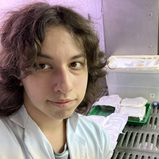 Raúl Carrasco Echeverría