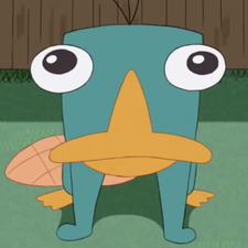 tuki