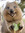 member photo member photo