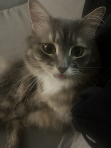 Zee
