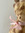 suki | 1 comments