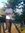 Hussam