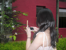 caiyun