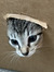 Mihir