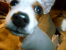 Amy