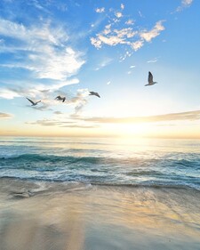 Ахьмэд Гъонэжьыкъу