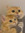 member photo member photo