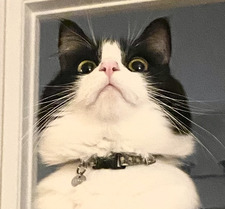 Max