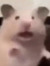 evan
