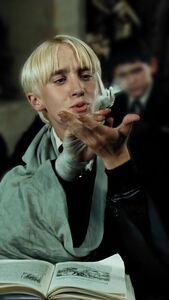 Draco's darling