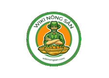 Wiki Sản