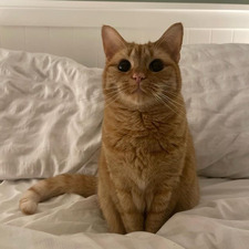 Emilka