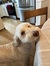 Zoey