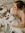 Katie (katiebooksflights) | 3 comments