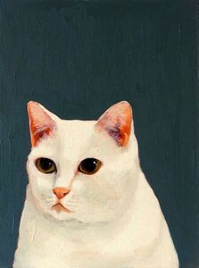 ..-. -... .-.. .- -.-- .-