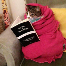 Comrade Zupa Ogórkowa